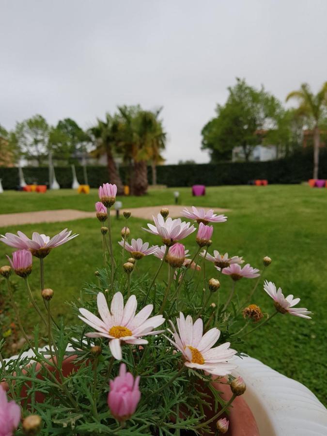 I Giardini Del Novecento Hotel Lamezia Terme Bagian luar foto